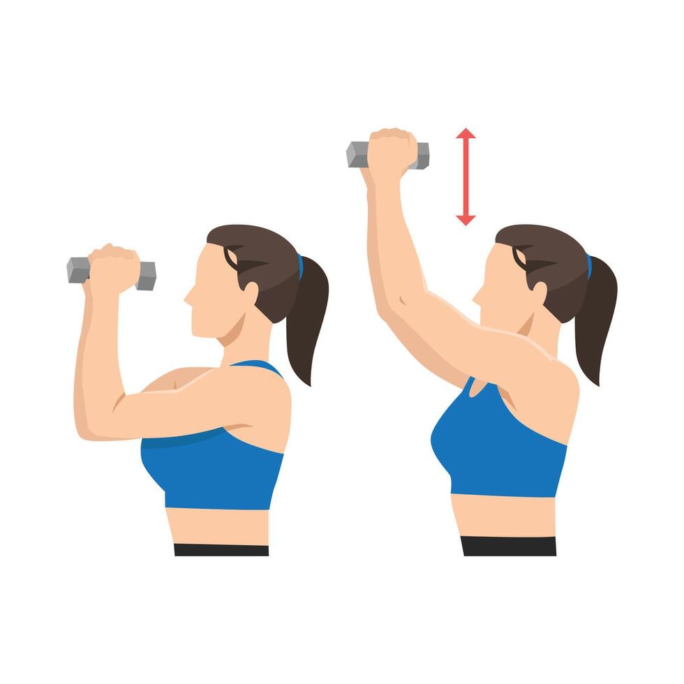 Woman lifting dumbbells for exercise vector