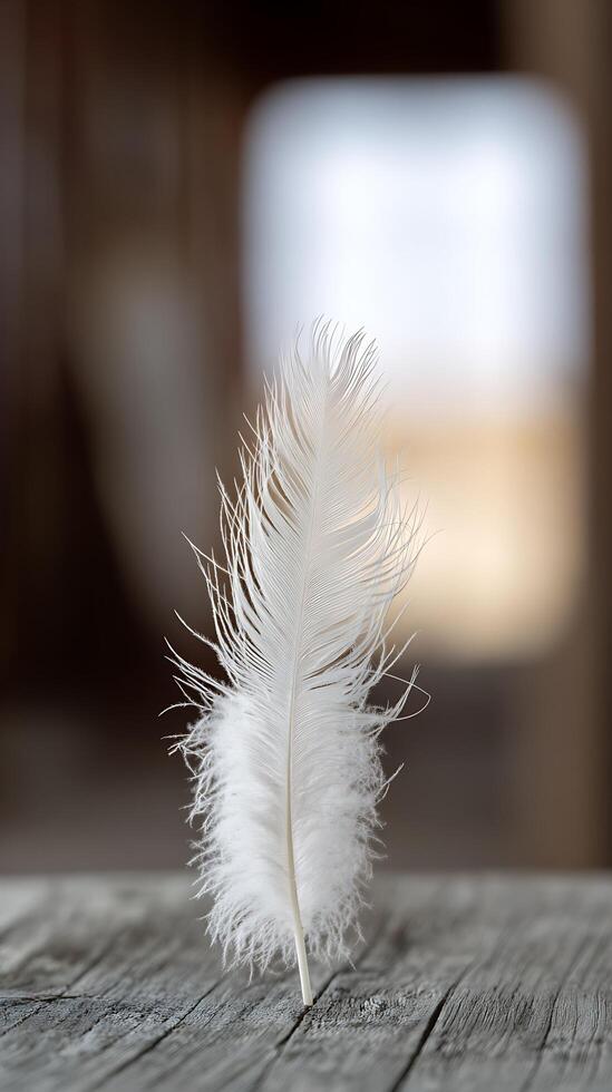 Delicate white feather rests on weathered wooden surface, soft background. photo
