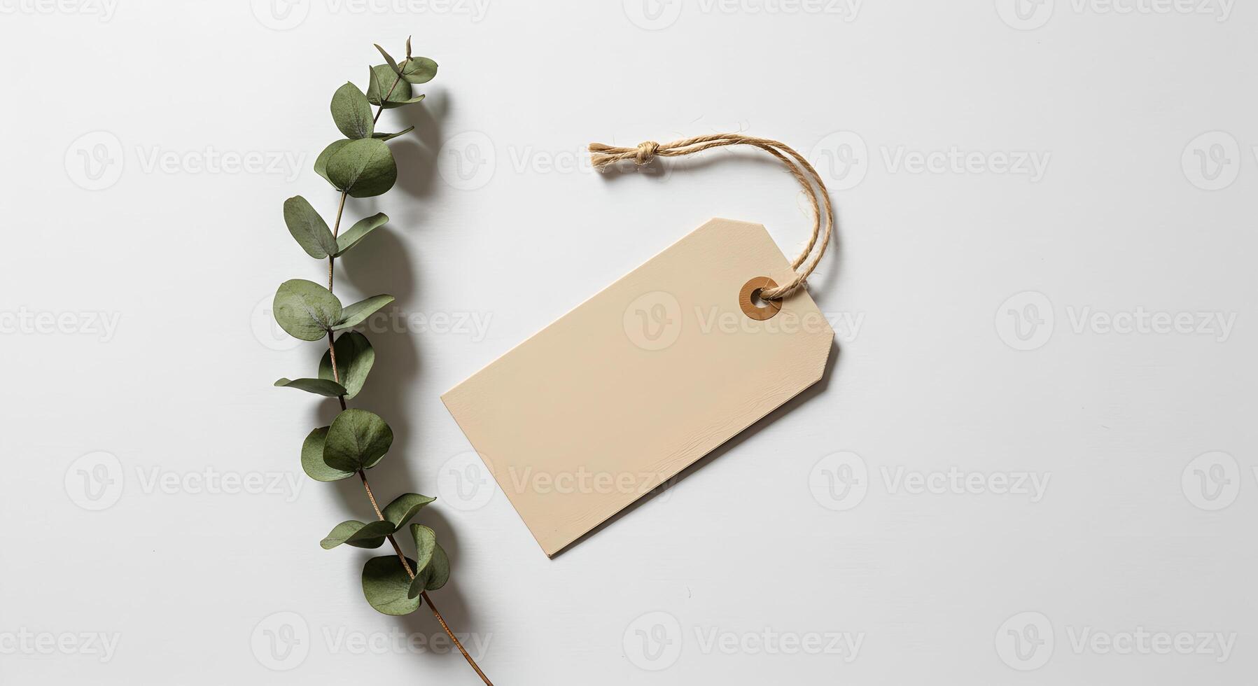 Beige Label Tag with Jute String and Eucalyptus on White. photo