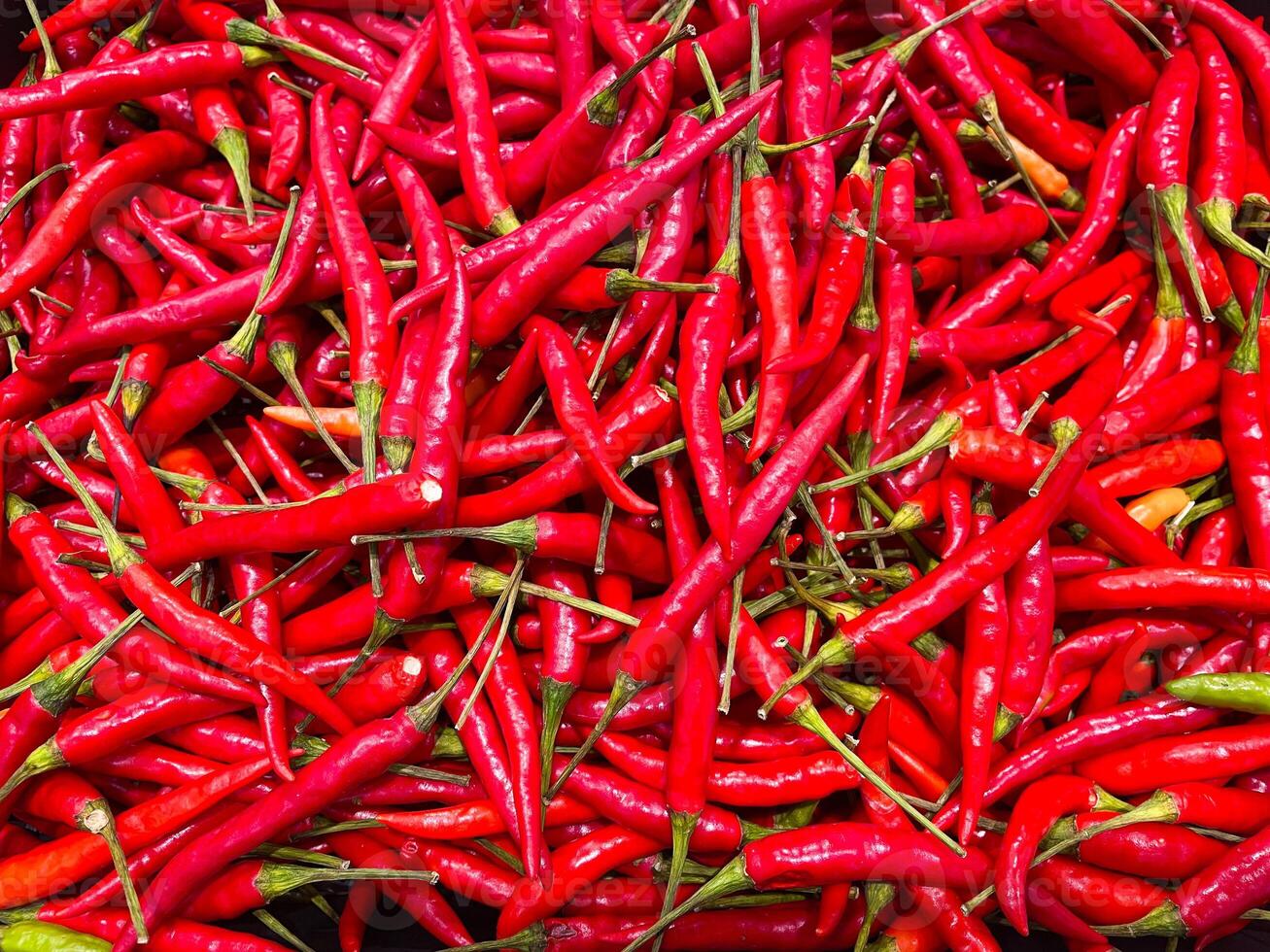 Organic red chillies texture background photo