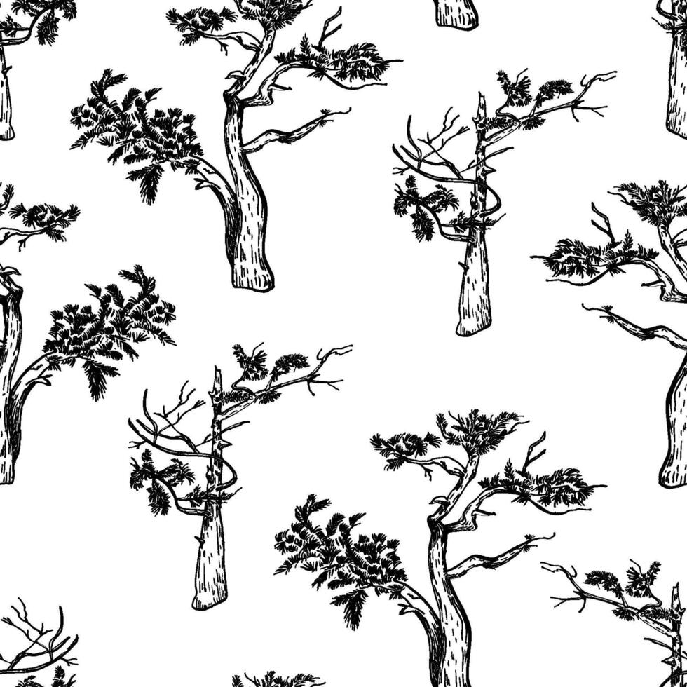 Pine Forest Seamless Pattern. Black and White Coniferous Tree Silhouettes on repeated background. Monochrome Landscape Design print for Textiles, Wallpaper. Endless trees graphic line art. vector