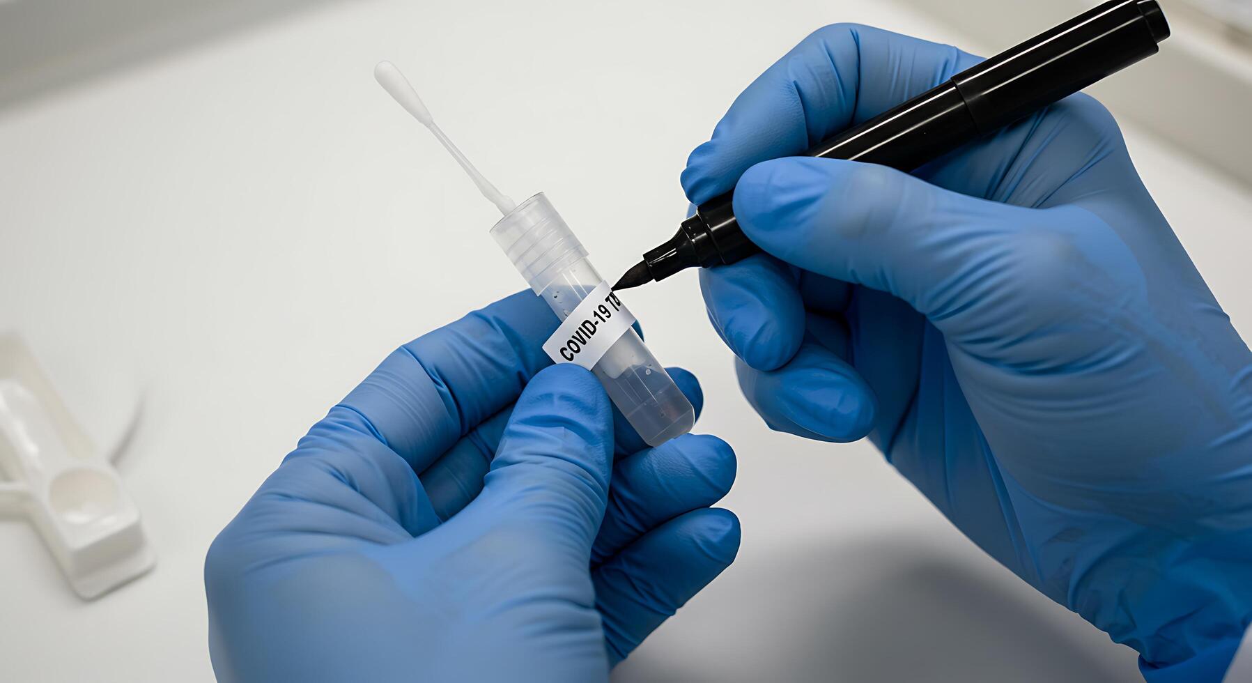 Medical Professional Using Cotton Swab and Test Tube for Covid-19 Testing in Laboratory photo