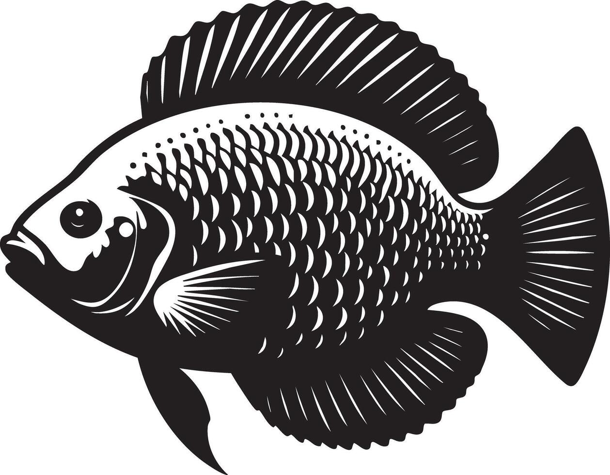 Understanding Fish Anatomy Exploring Characteristics Behavior and Conservation Efforts vector