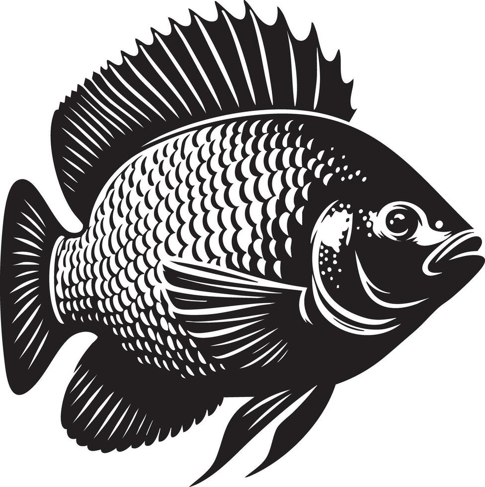 Tilapia Fish Deep Dive Facts and How to Cook vector