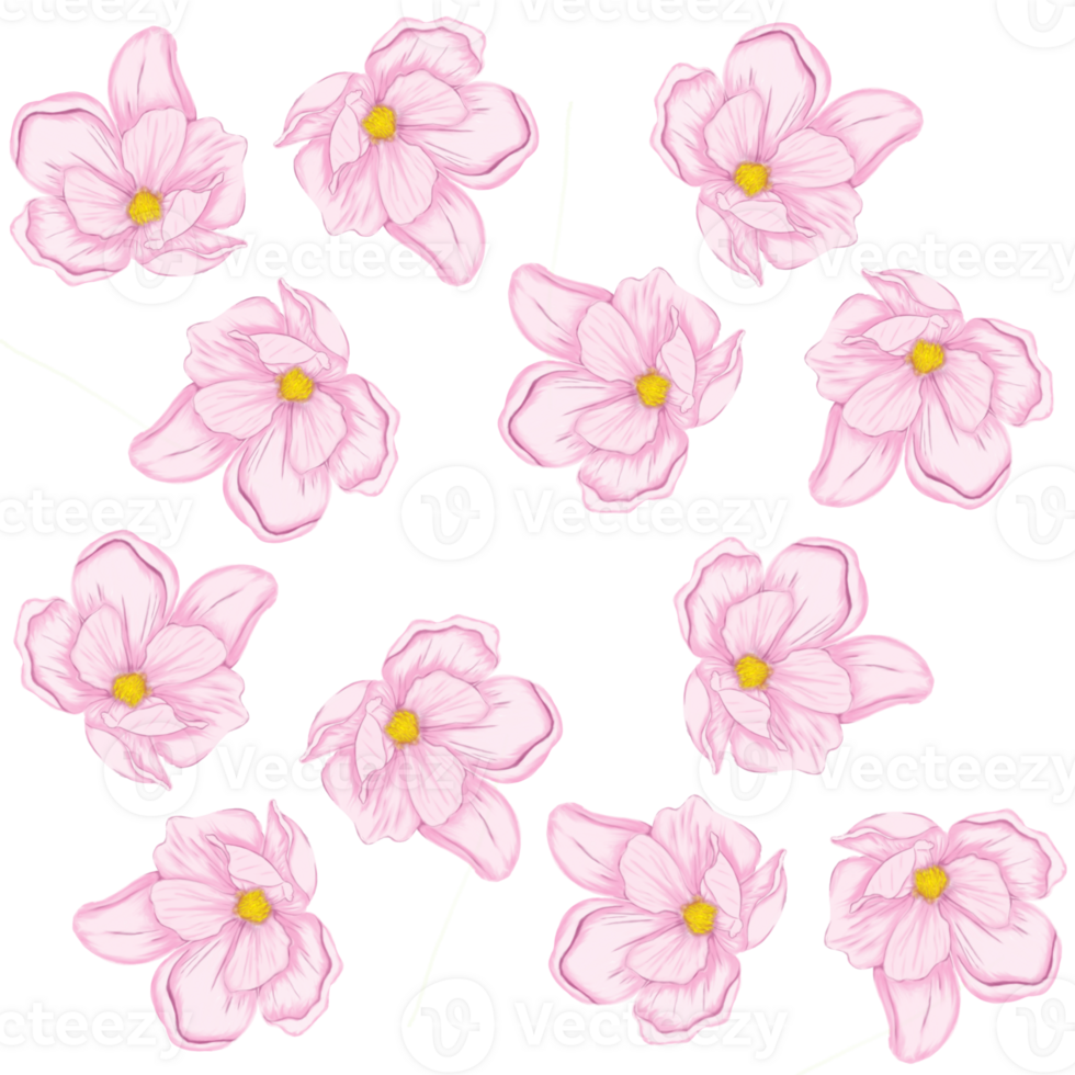 Seamless pattern with pink magnolia blooms png