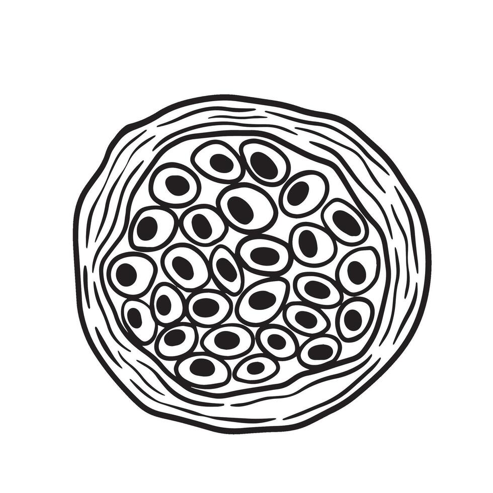 un resumen ilustración representando un célula y sus núcleo presentando circular estructuras vector