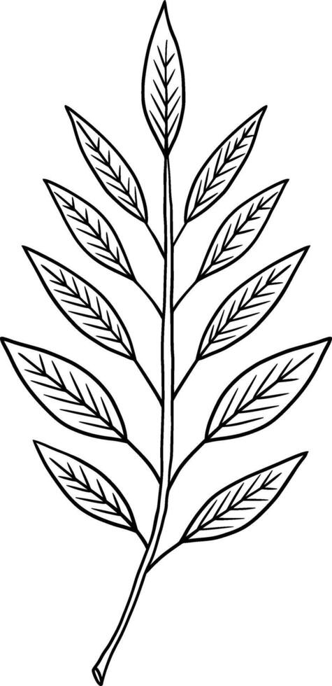 An Elegant Leaf Illustration Perfect for Nature Themes, Art Projects, and Creative Design vector