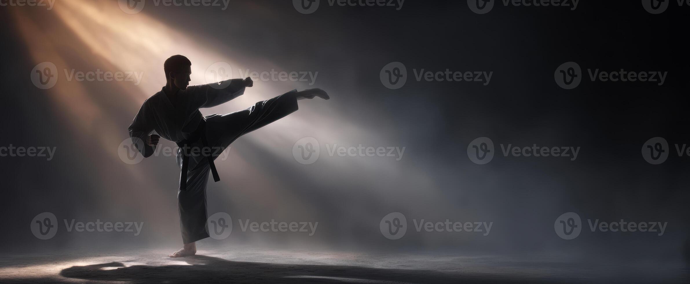 The karate practitioner executing a dramatic high kick in a spotlight. photo
