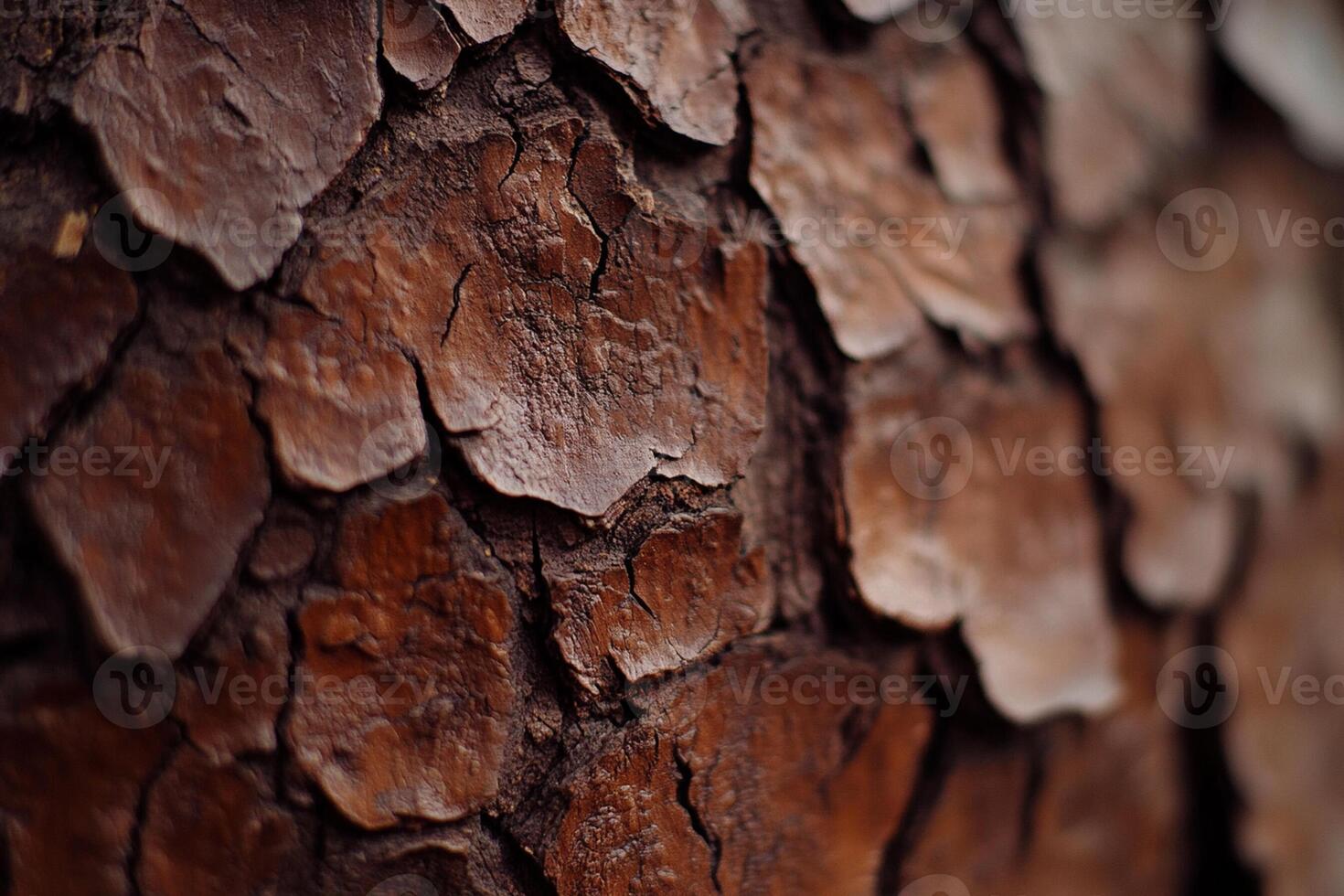 A close up of a tree bark with brown spots photo