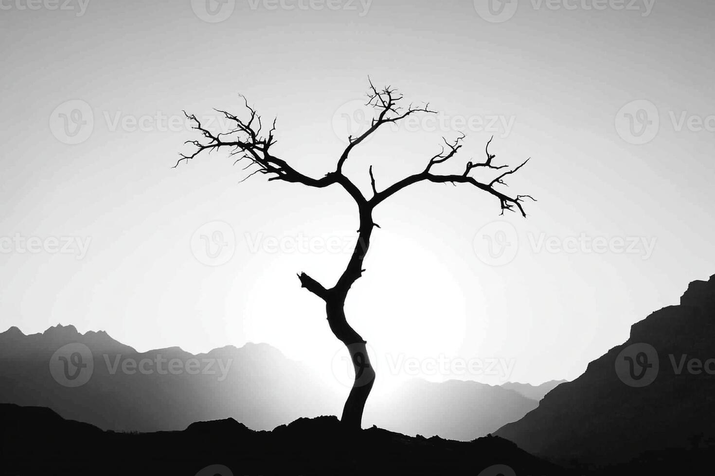 A black and white photo of a tree in the mountains