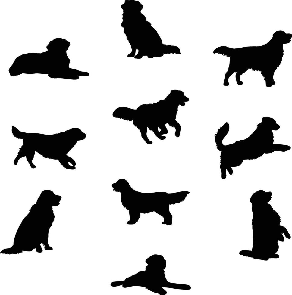 Golden retriever silhouette vector