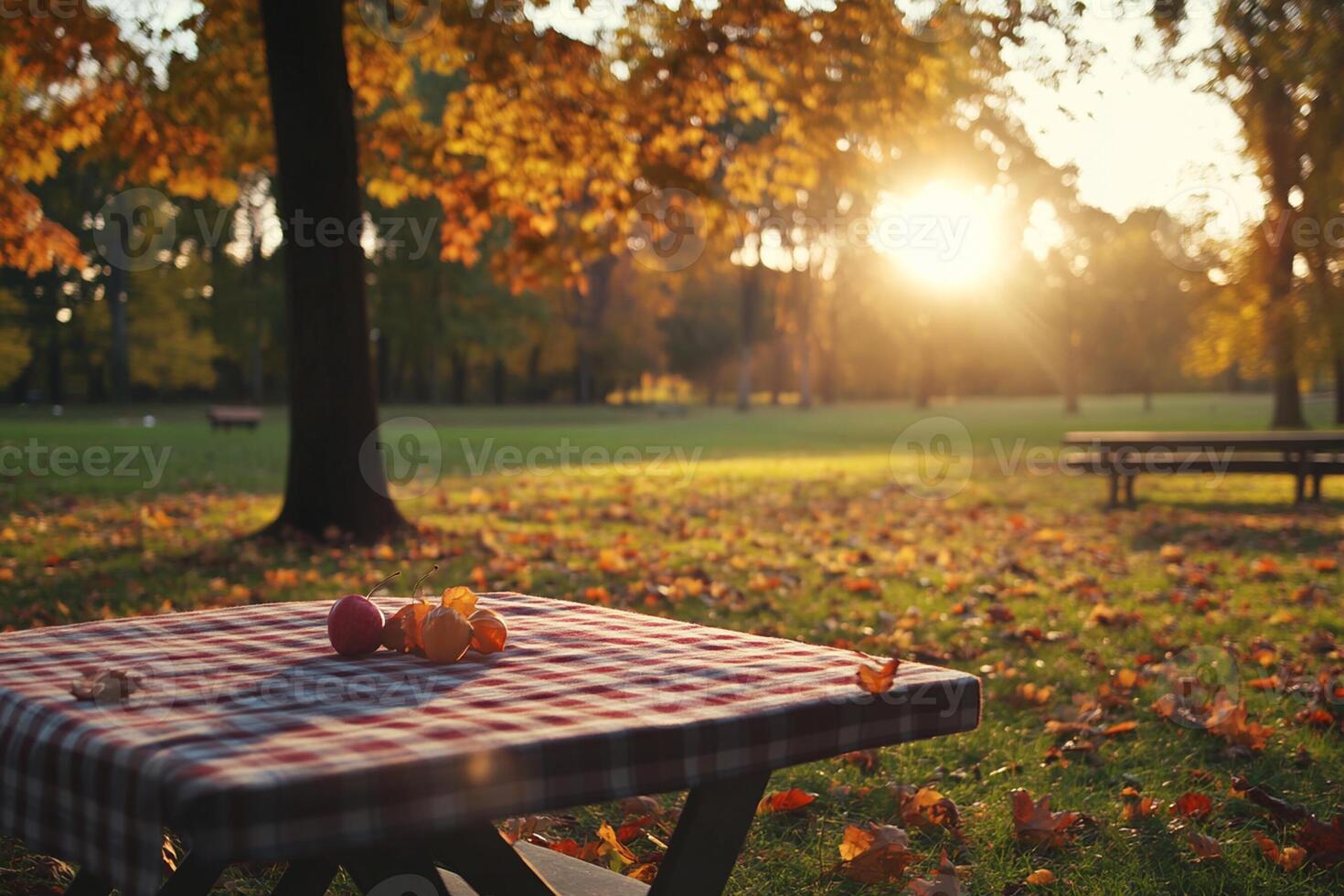 An empty picnic table in the middle of a park photo