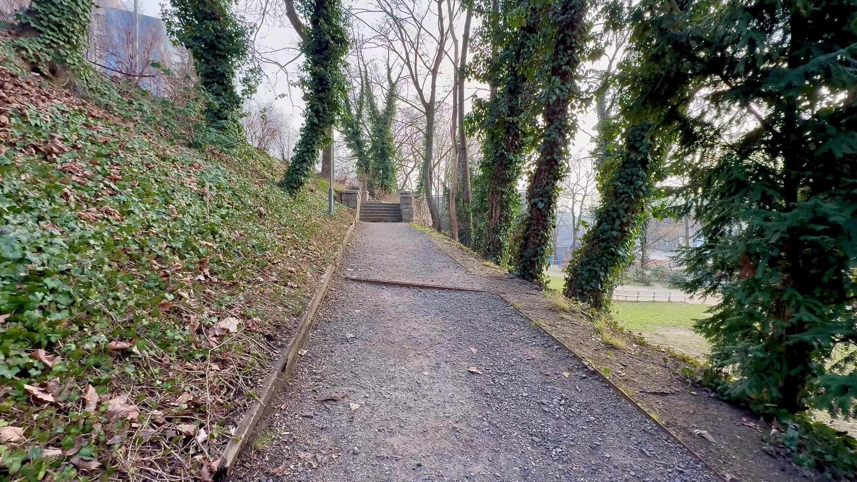 A Serene Pathway that is Surrounded by Lush Nature in a Quiet and Tranquil Setting photo