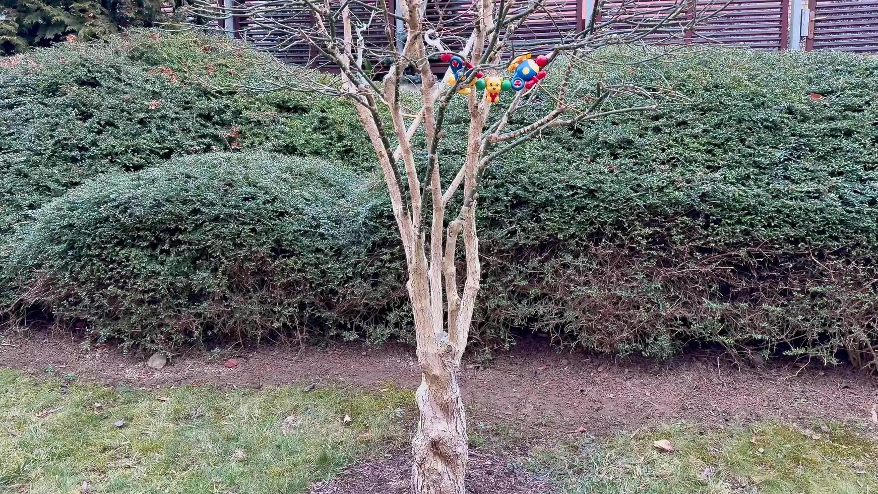 A vibrant array of colorful birds perched on a stark, leafless tree within a lush landscape photo