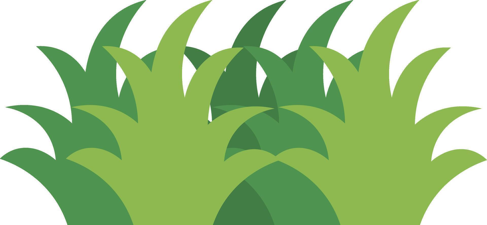 Grass Border Decoration Isolated on White Background vector