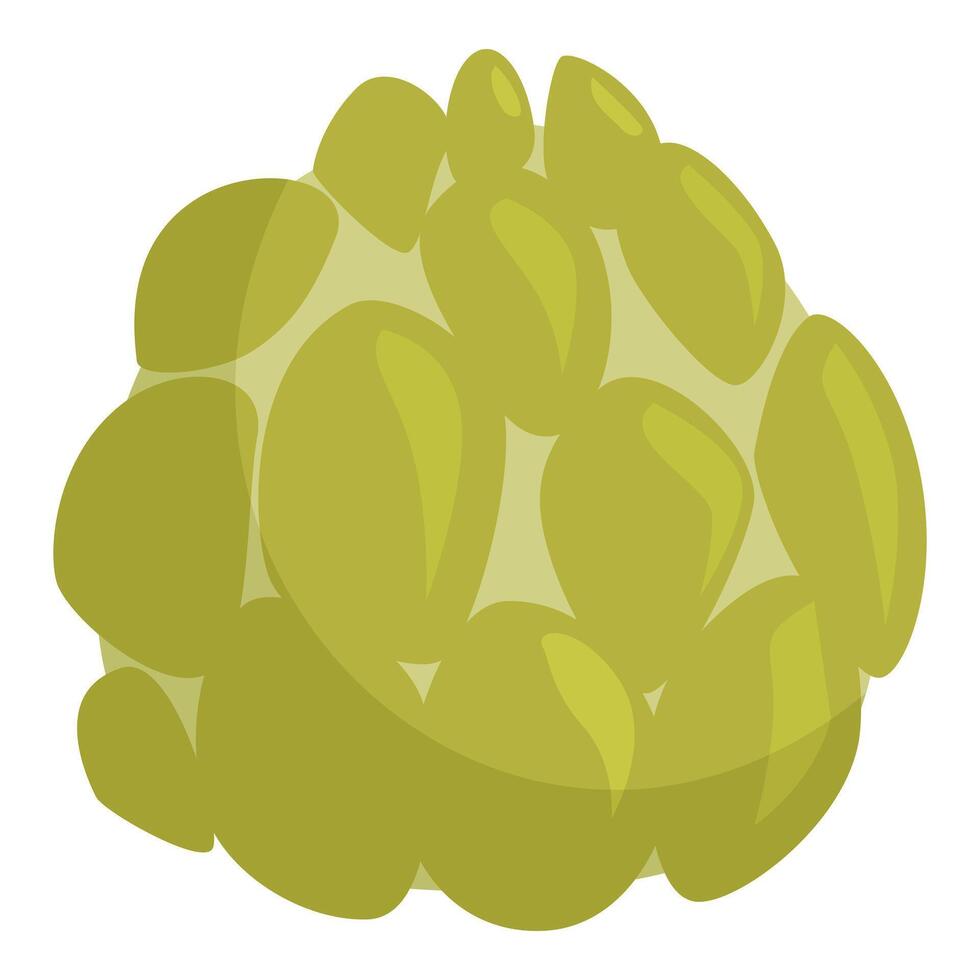Cluster of green grapes forming a round shape vector