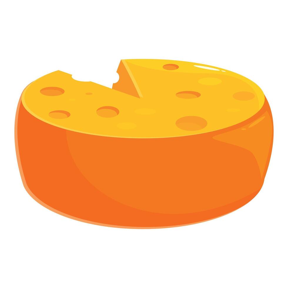 Round cheese wheel with missing slice showing delicious texture vector