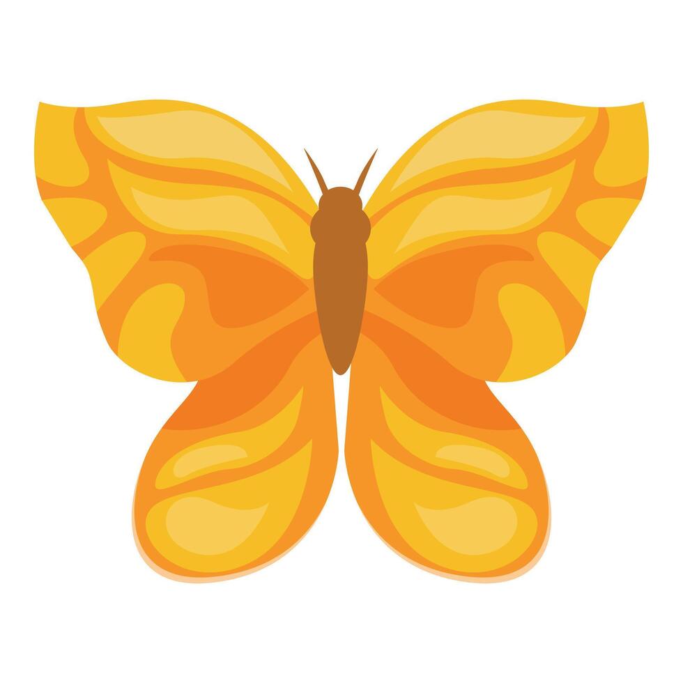Yellow butterfly showing its wonderful wings on white background vector