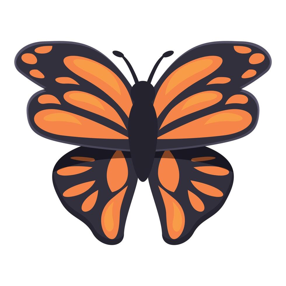 Orange and black butterfly showing its wonderful wings vector