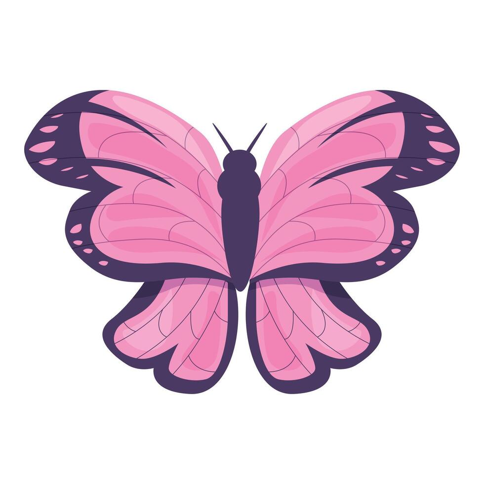 Pink butterfly showing its wonderful wings and body vector