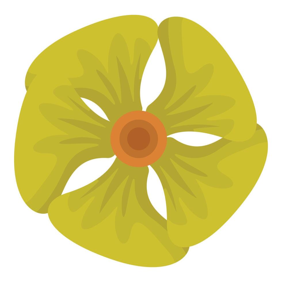 Green tropical flower blooming with orange center and five petals vector