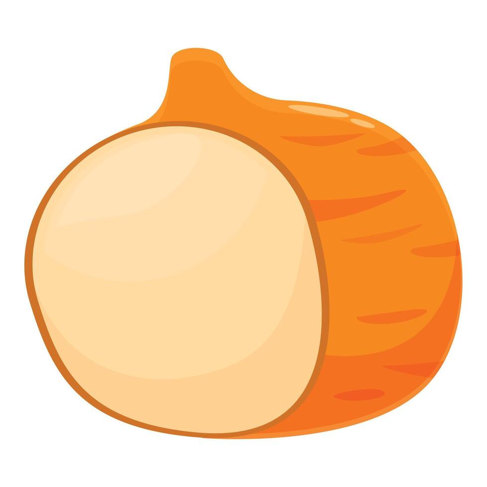 Half hazelnut showing the inside and the shell vector