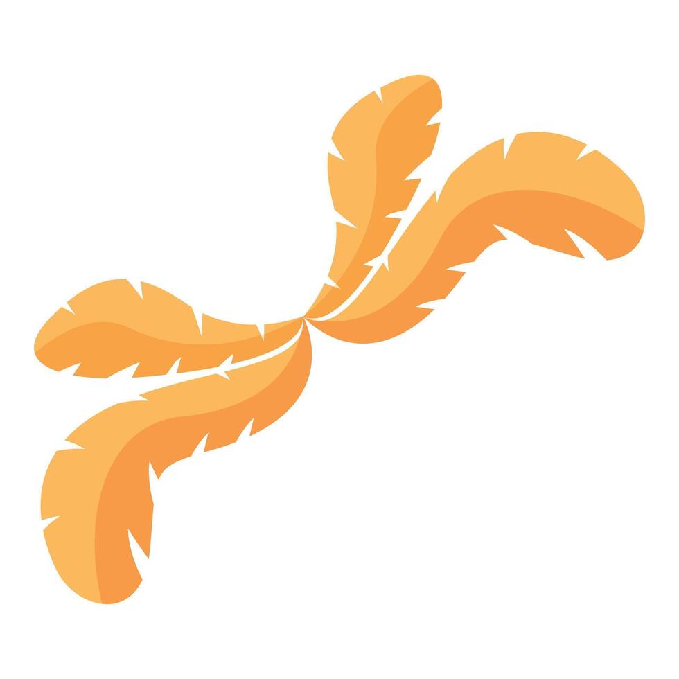 Four orange feathers rotating creating a decorative element vector