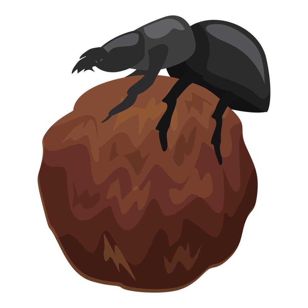 Dung beetle pushing a ball of dung, coprophagous insect working vector
