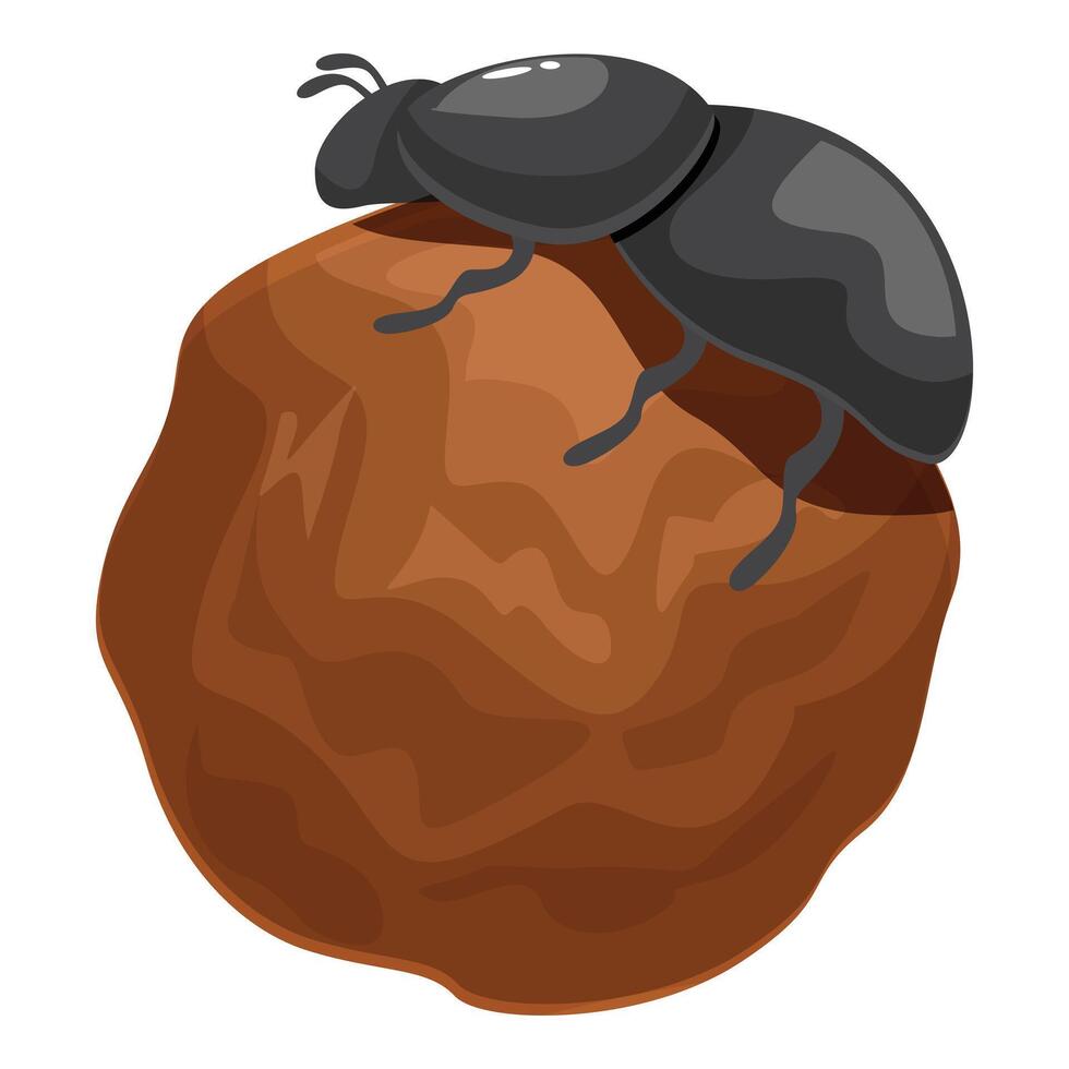 A black beetle sitting on a walnut vector