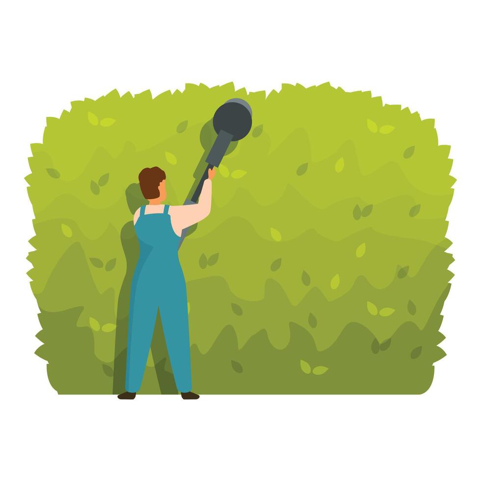 Gardener trimming hedge with electric hedge trimmer in garden vector
