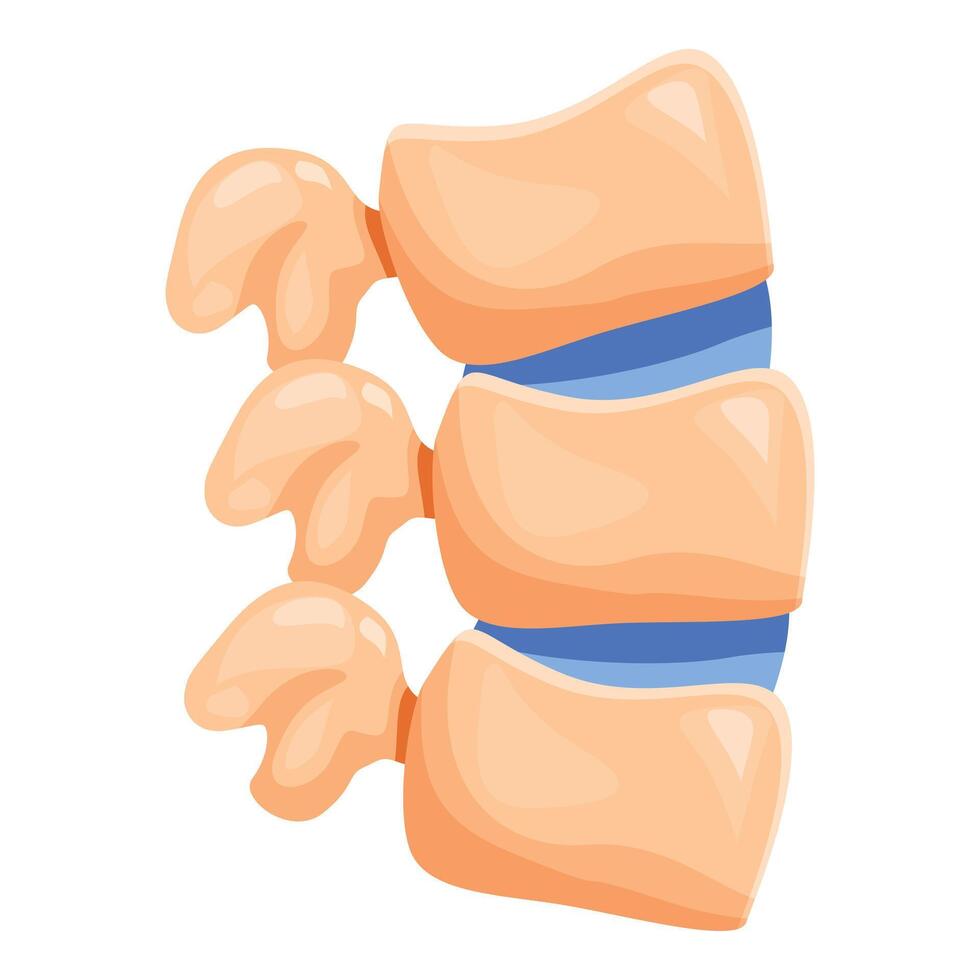 Healthy spine maintaining perfect posture, supporting body structure vector