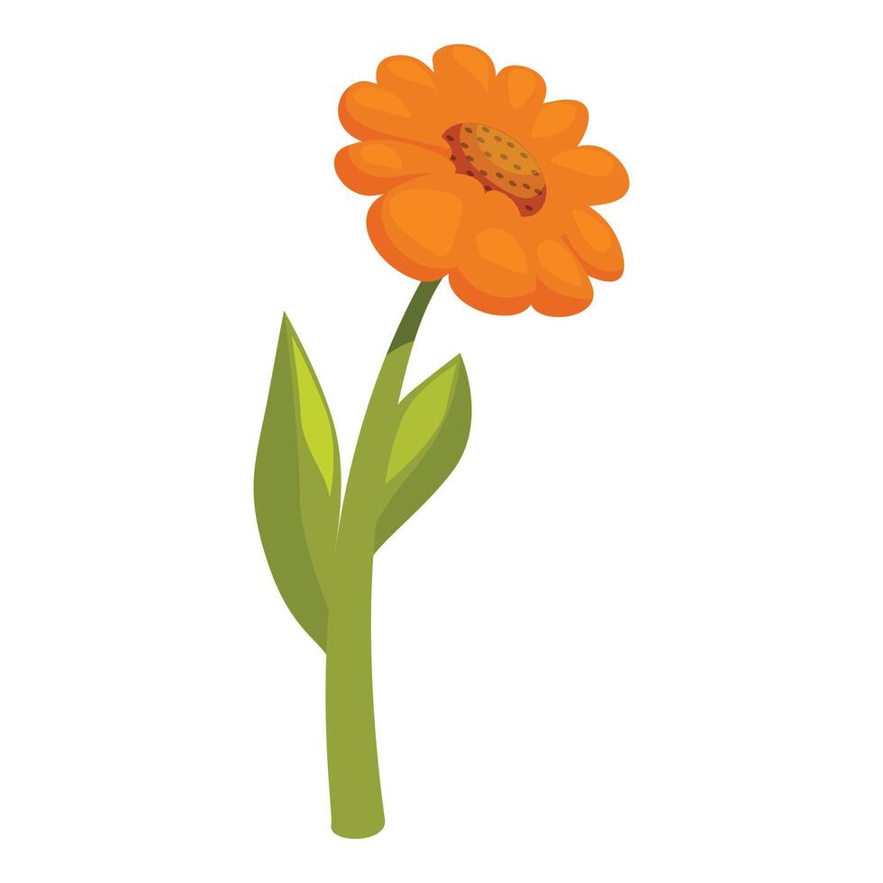 Single orange calendula flower with green stem and leaves vector