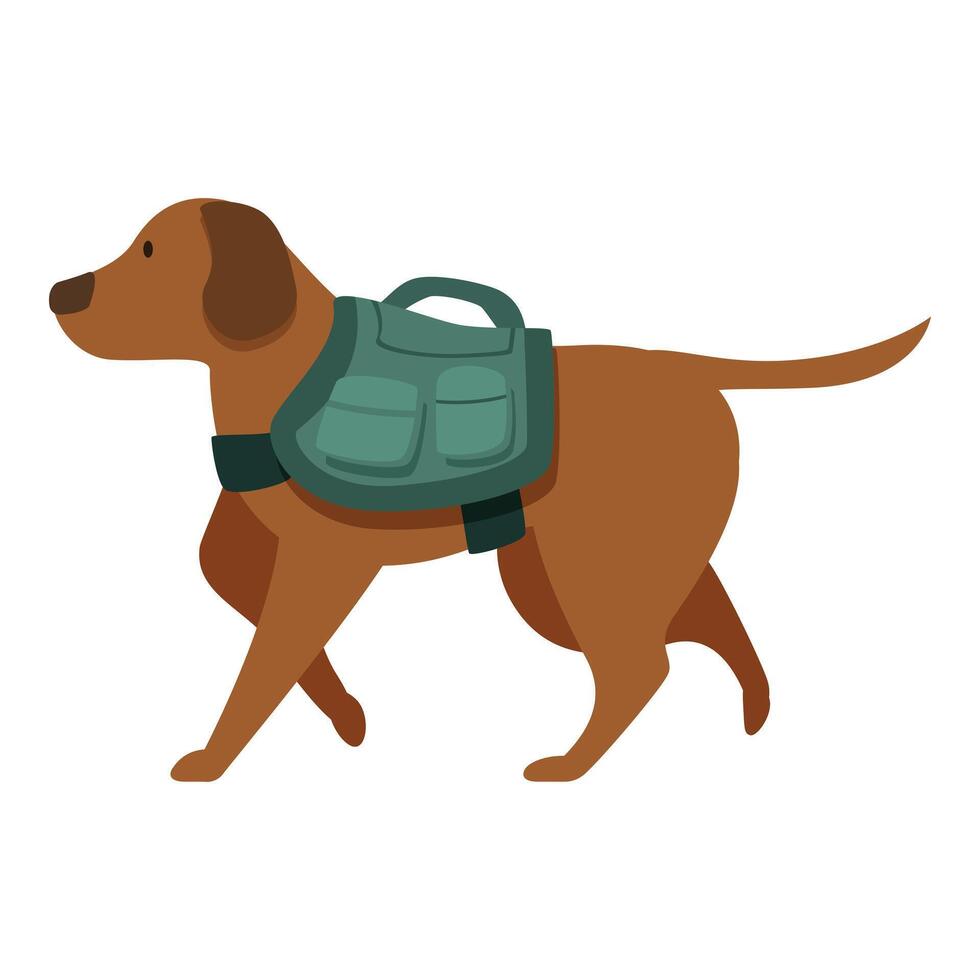 Labrador retriever walking and carrying backpack on white background vector