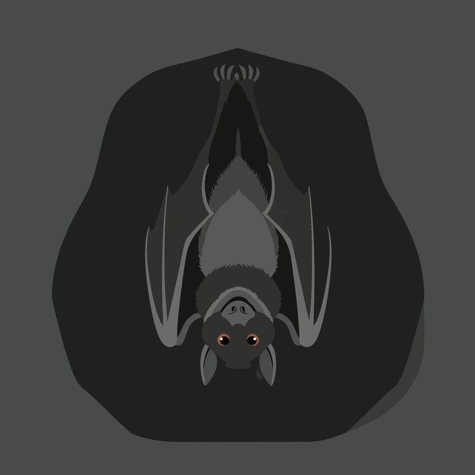 Hanging Bat in a Dark Cave. vector