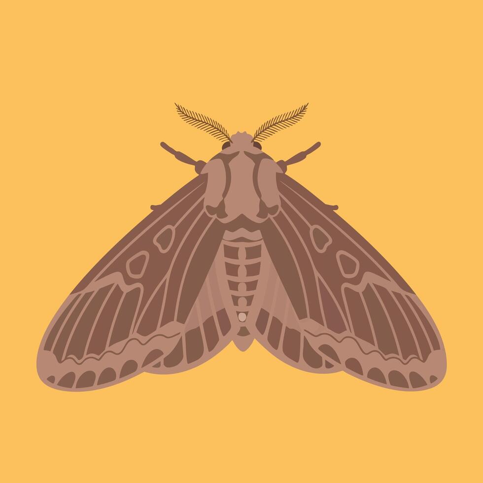 Flattened Illustration of a Brown Moth. vector