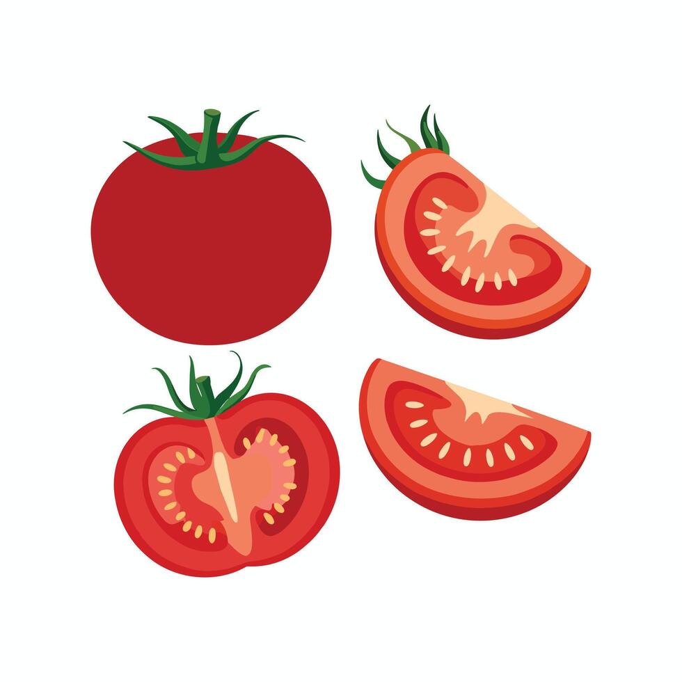 Fresh Tomato Whole and Slices Illustration, Juicy Red Vegetable Clipart, Healthy Food Icon for Kitchen, Cooking, Restaurant, Grocery, and Nutrition Design vector