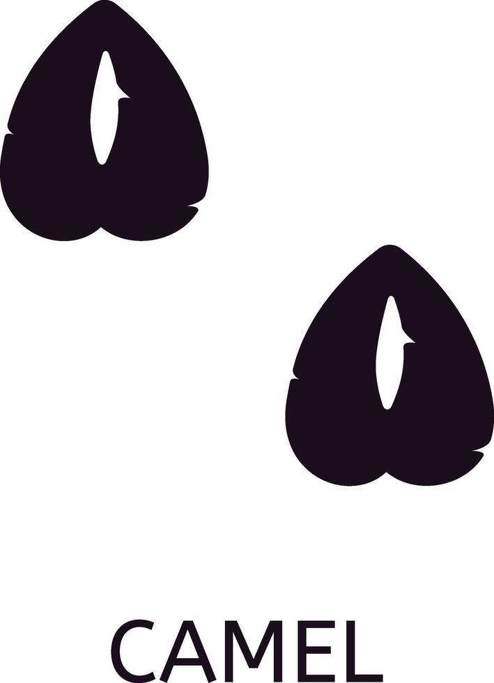 Camel paw print showing even toed ungulate with two toes, soft foot and leathery sole, leaving distinctive hoofprint, illustration isolated on white background vector