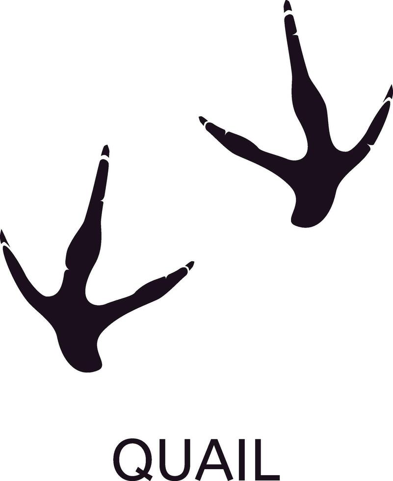 Black silhouette of quail footprints on a white background, featuring three toes pointing forward and one backward, ideal for wildlife identification and nature studies vector