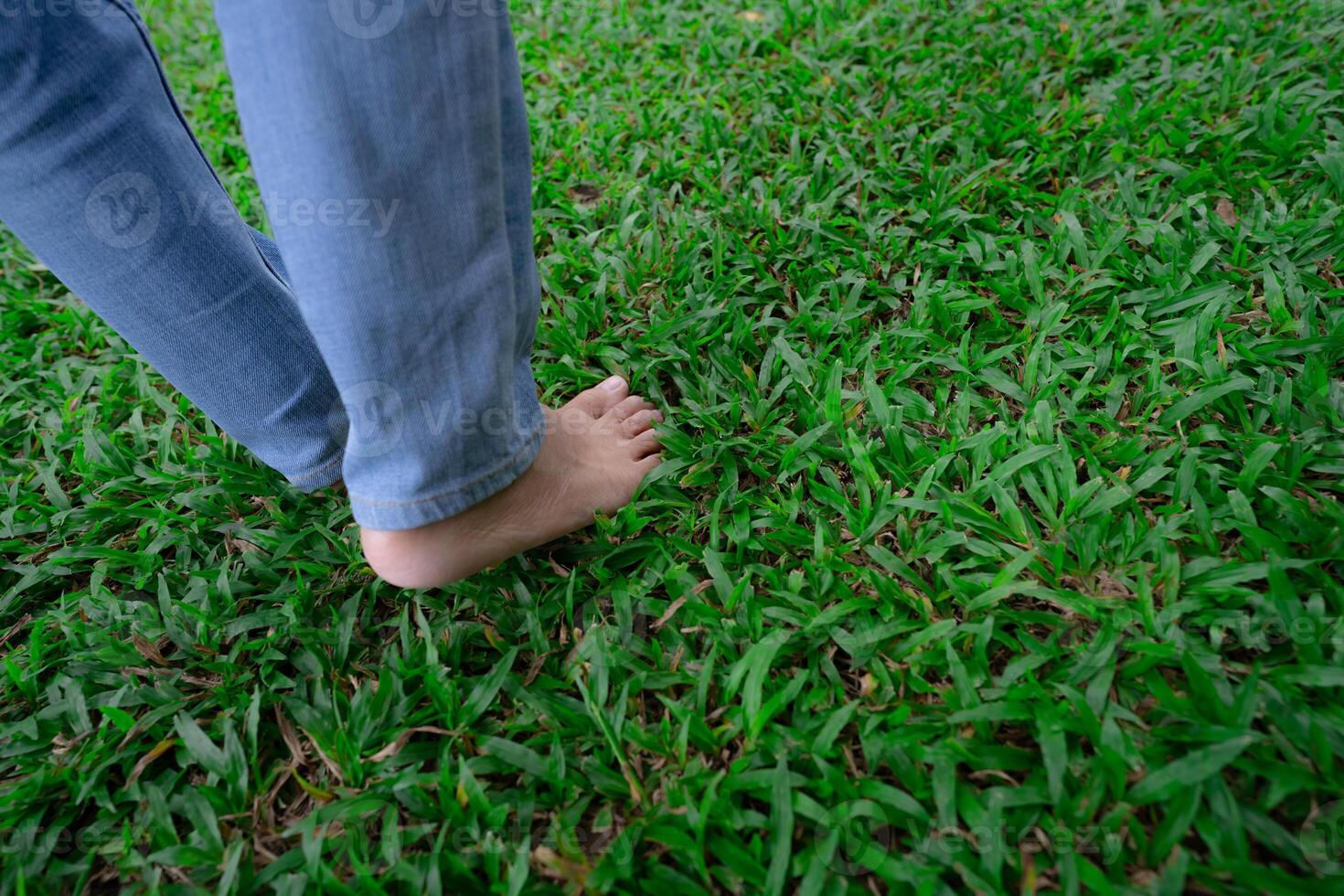 Barefoot person stepping on green grass lawn. Nature connection and natural healing through walking outdoors. Peaceful wellness retreat. Mindful lifestyle and connection to the earth. photo