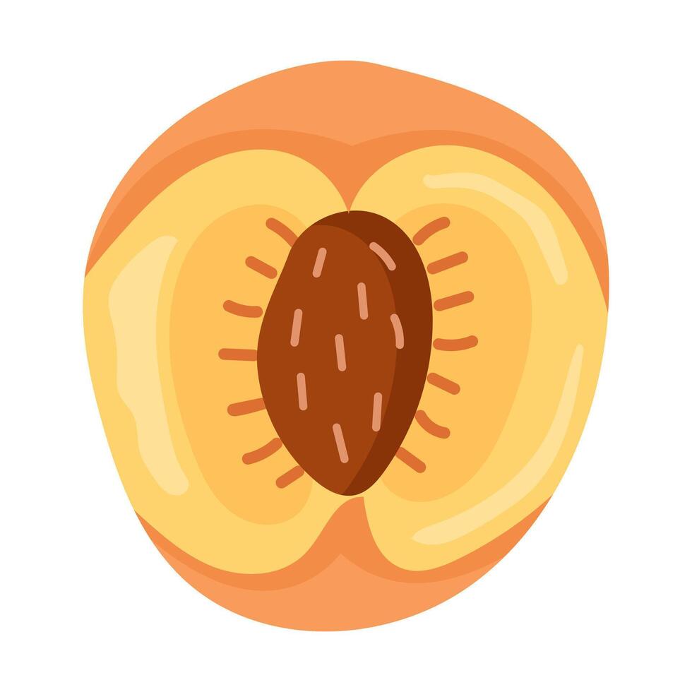 Peach illustration slice in soft warm palette vector