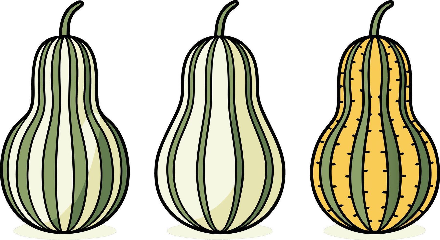 Fresh Organic Gourd Illustration Pack for Healthy Food and Decor vector