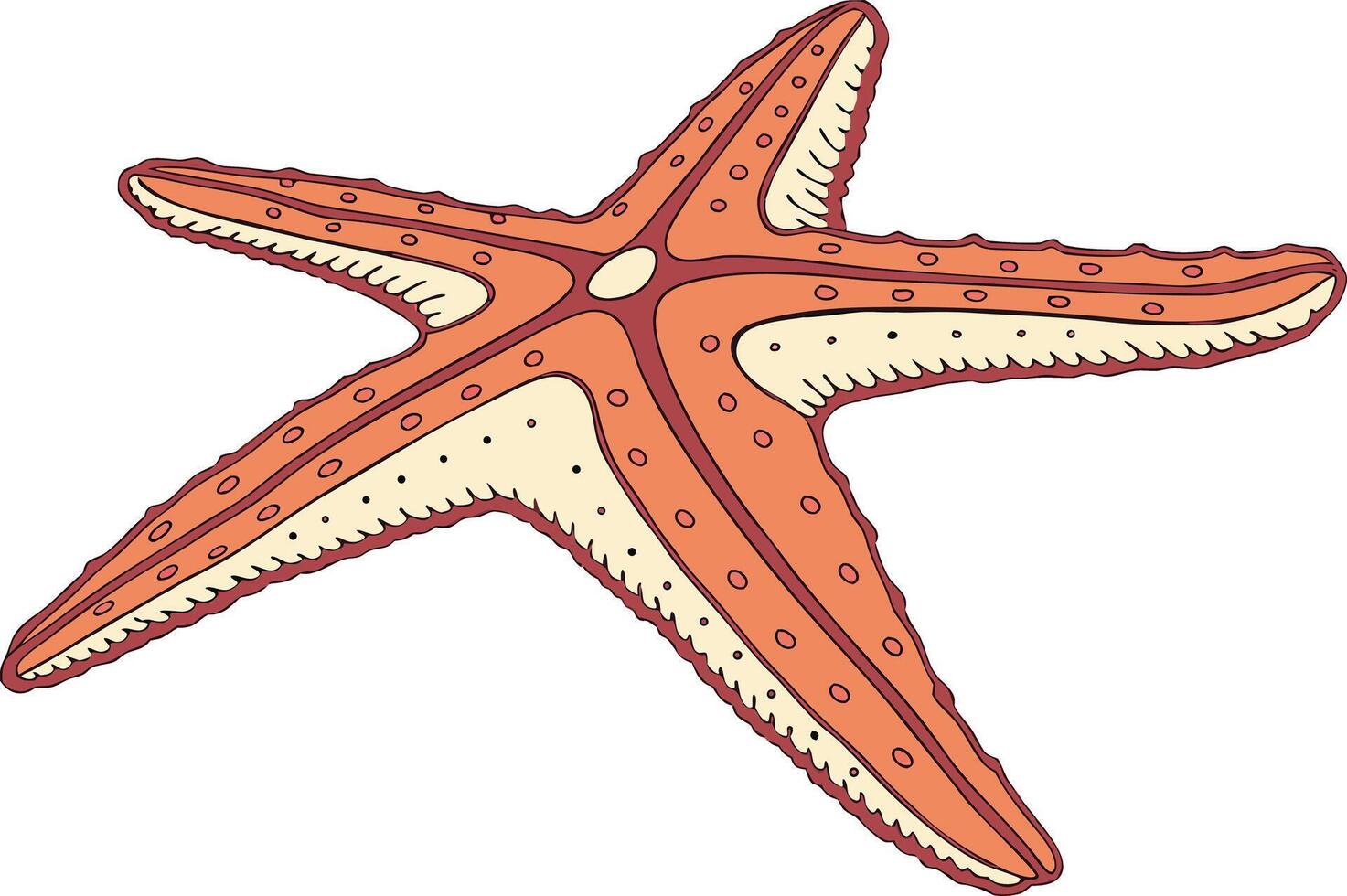 Hyper realistic starfish image with realistic texture and natural beach colors perfect for microstock and commercial use vector