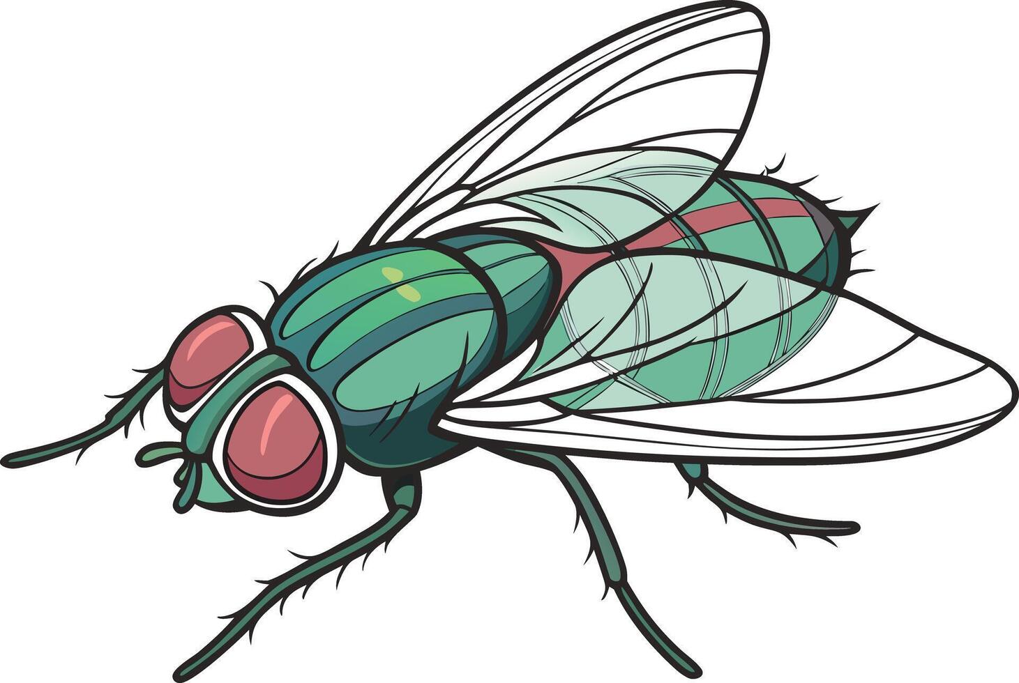 Realistic colorful fly clipart with elegant vibrant design and fine textures optimized for microstock platforms vector
