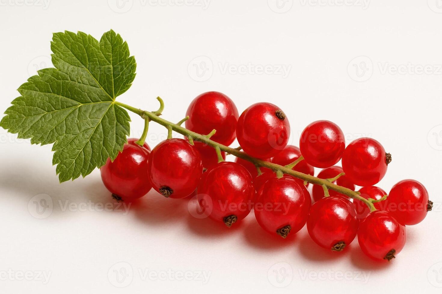 A red currant branch with green leaves is depicted on a white background. The berries look fresh and appetizing, symbolizing summer abundance and natural products. photo