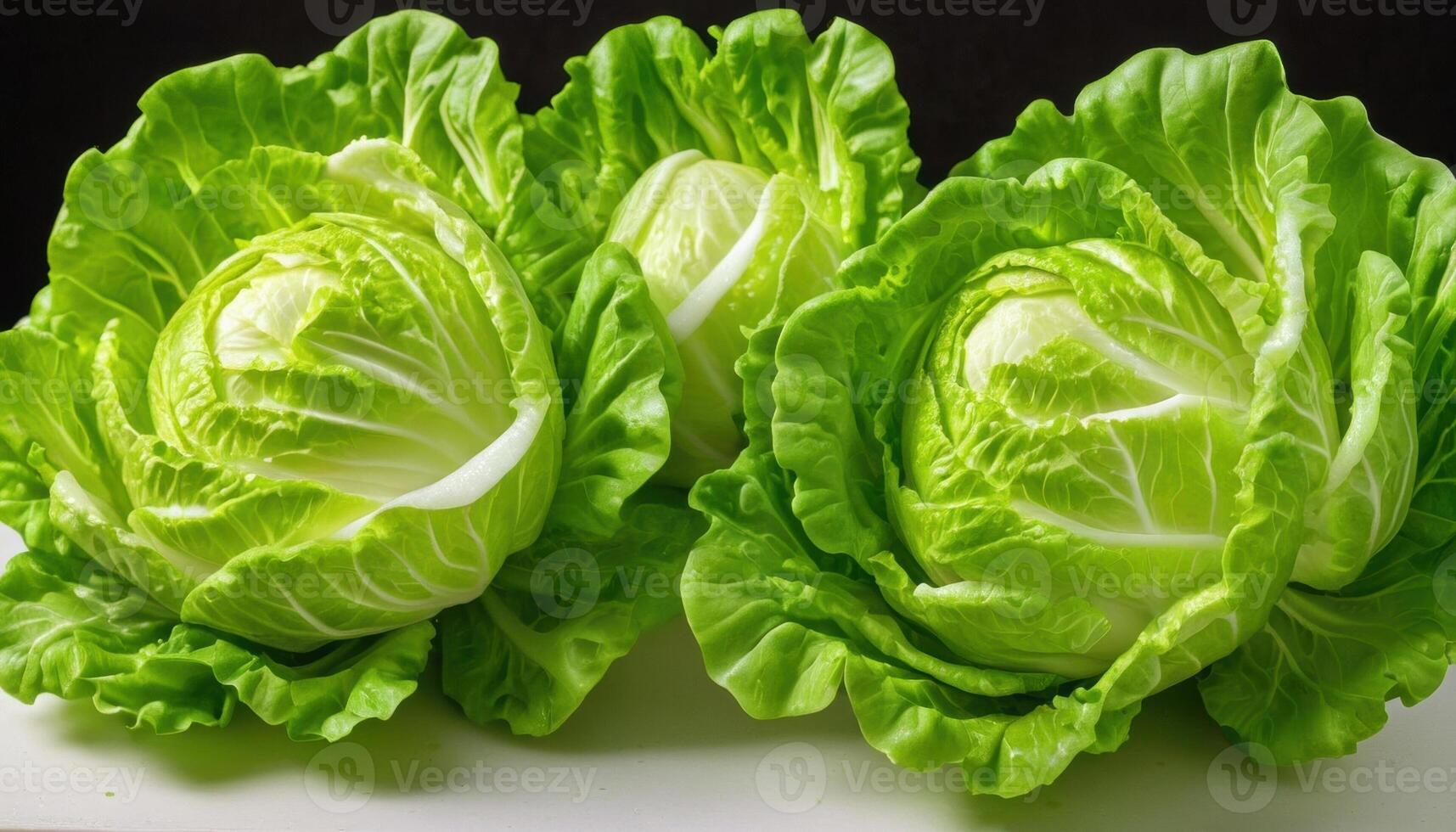 three heads of cabbage salad with dense light green leaves on a white surface. The dark background highlights their freshness and naturalness, making the vegetables more noticeable. photo
