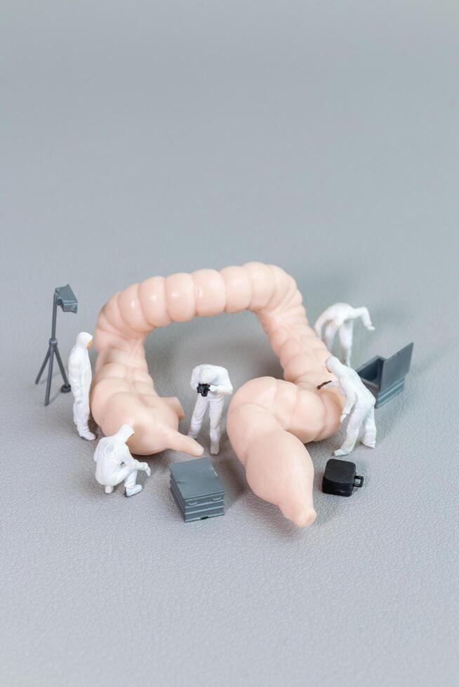 Medical Research Team Working on Gut Model photo