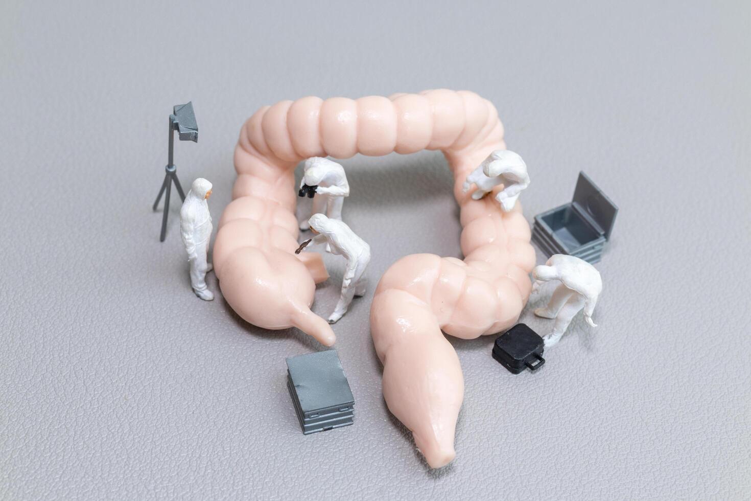 Miniature Scientists Inspecting a Human Intestine Model photo