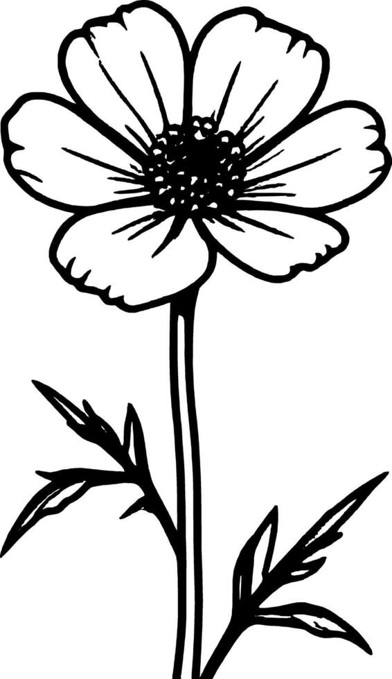 Bright Yellow Coreopsis Illustration with Intricate Black Outline Against White vector