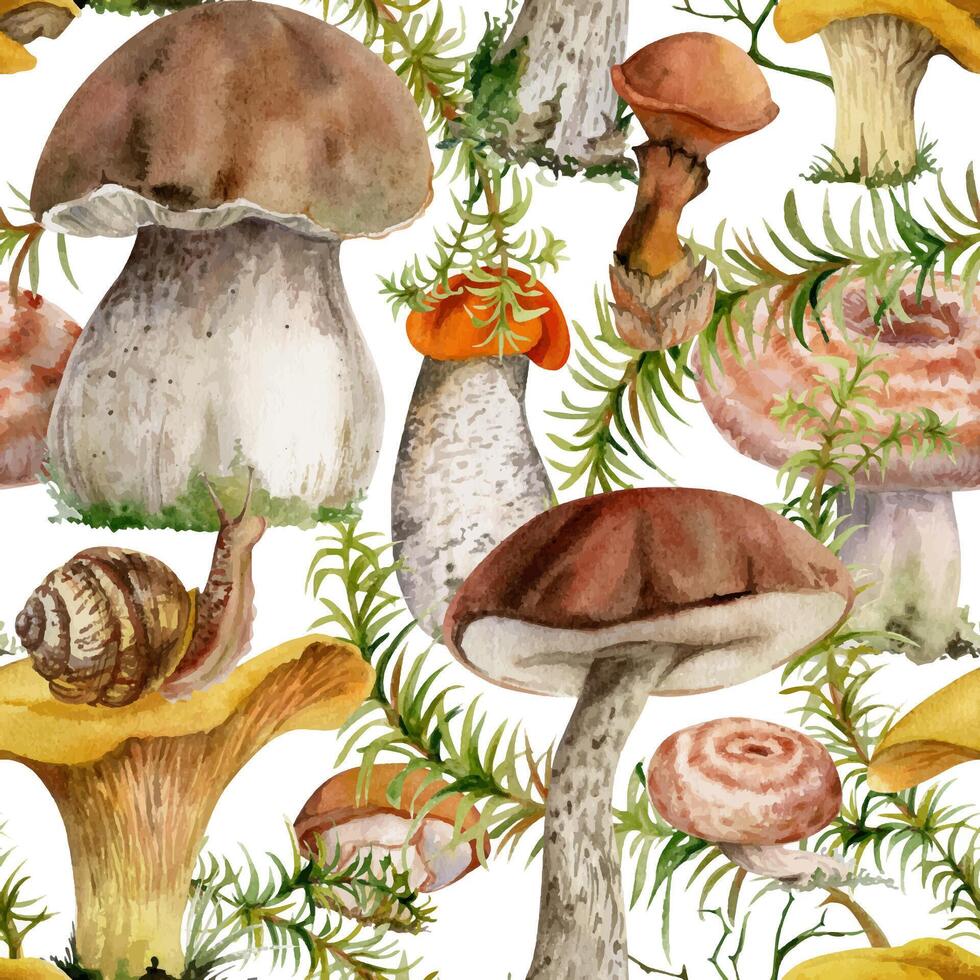 Watercolor mushrooms and snails background vector