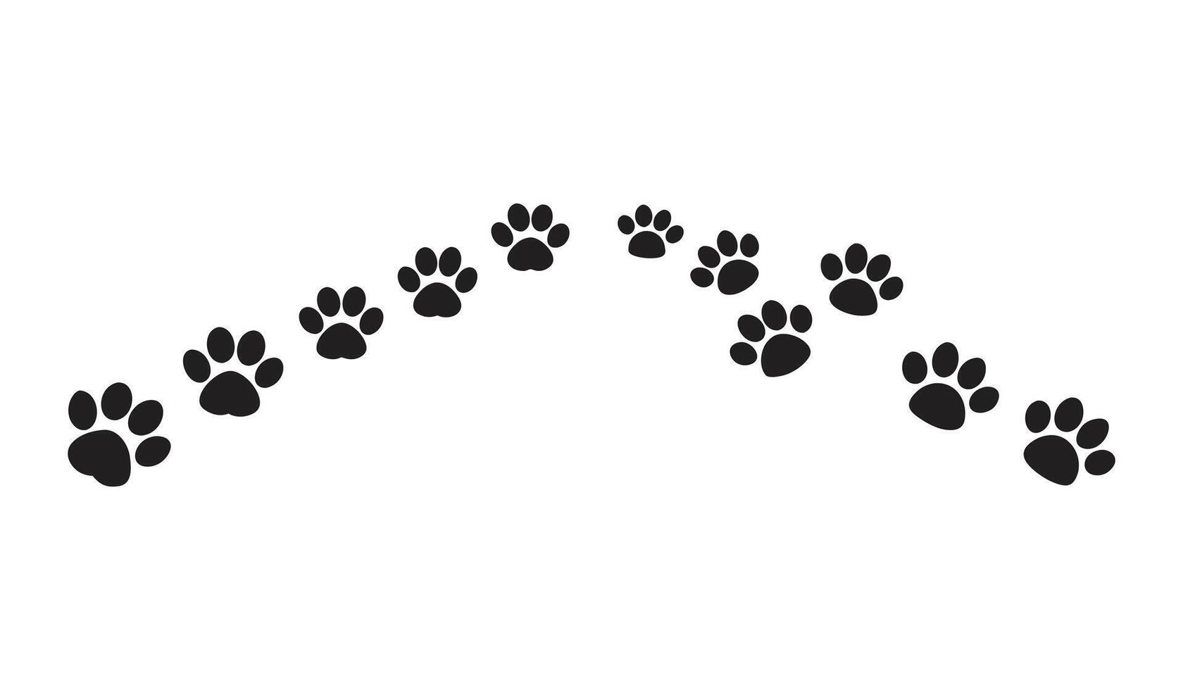 A series of black animal paw prints forming an arc silhouette isolated on white background vector